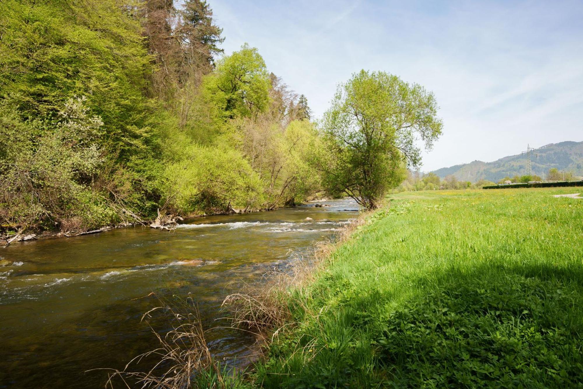 Ferienwohnung Alte Scheune Schopfheim Exteriör bild